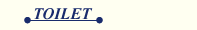 �g�C��